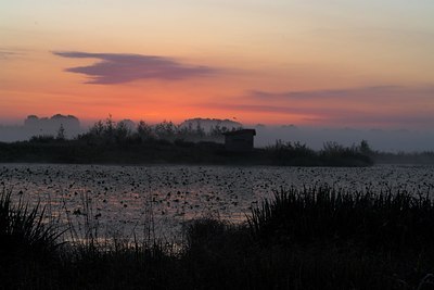 BUITEN BEELD Foto: 63598