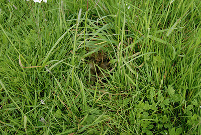 BUITEN BEELD Foto: 63627