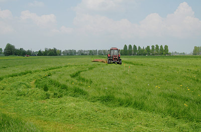 BUITEN BEELD Foto: 63637