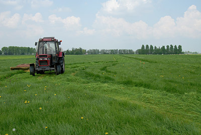 BUITEN BEELD Foto: 63638