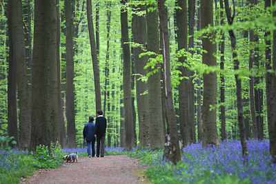 BUITEN BEELD Foto: 63718