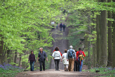 BUITEN BEELD Foto: 63734