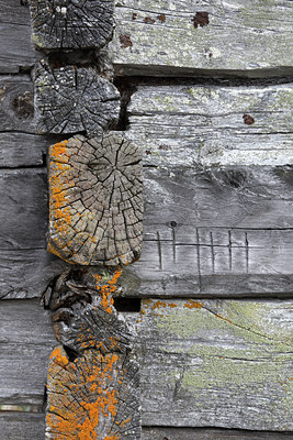 BUITEN BEELD Foto: 63744