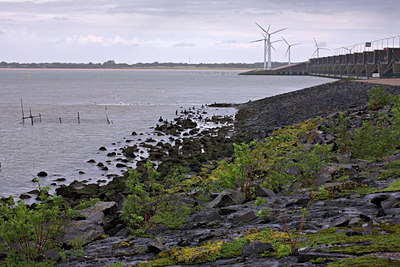 BUITEN BEELD Foto: 63758