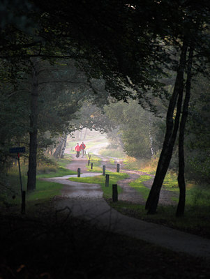 BUITEN BEELD Foto: 63759