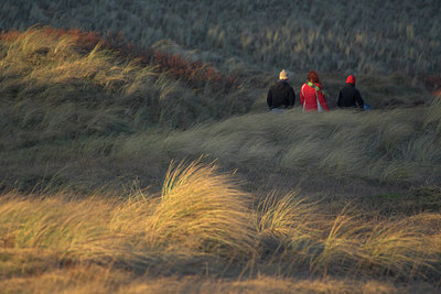 BUITEN BEELD Foto: 63767