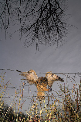 BUITEN BEELD Foto: 63795