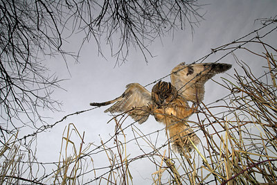 BUITEN BEELD Foto: 63798