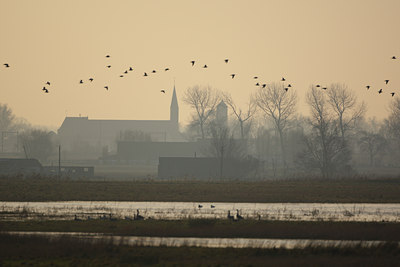 BUITEN BEELD Foto: 63885