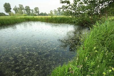 BUITEN BEELD Foto: 63897