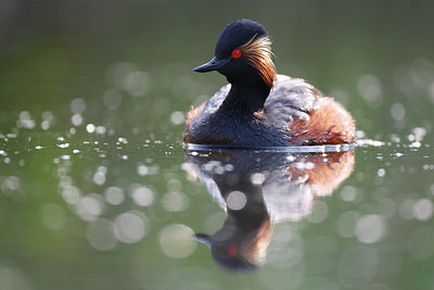 BUITEN BEELD Foto: 63932