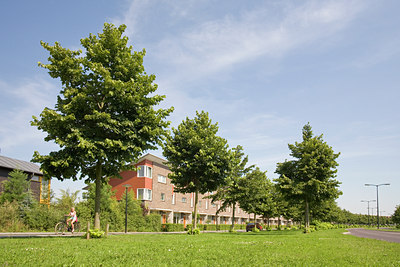 BUITEN BEELD Foto: 64021