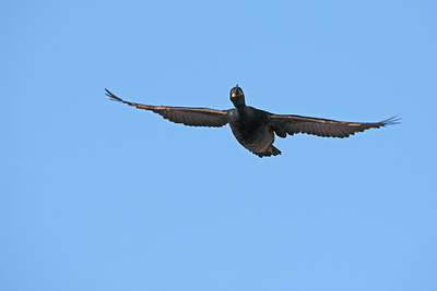 BUITEN BEELD Foto: 64129