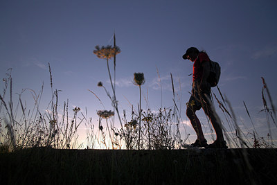 BUITEN BEELD Foto: 64165