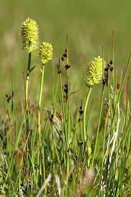 BUITEN BEELD Foto: 64216