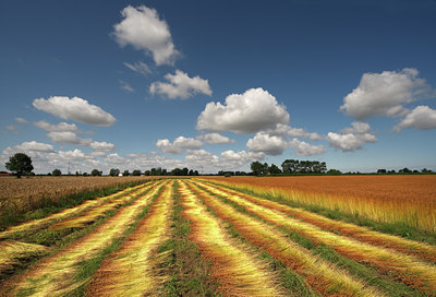 BUITEN BEELD Foto: 64255