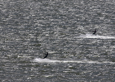 BUITEN BEELD Foto: 64282