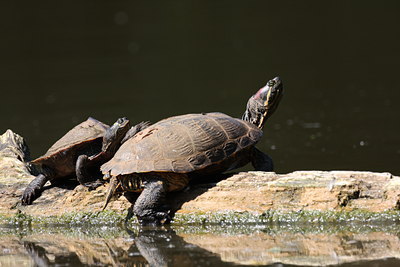 BUITEN BEELD Foto: 64326