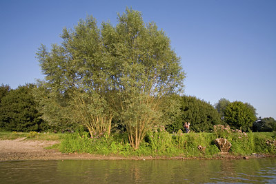 BUITEN BEELD Foto: 64330