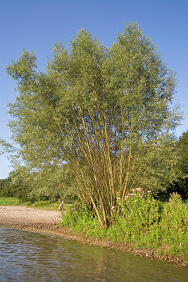 BUITEN BEELD Foto: 64331