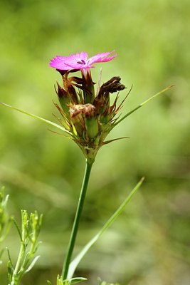 BUITEN BEELD Foto: 64341