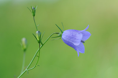 BUITEN BEELD Foto: 64407