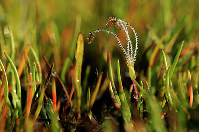 BUITEN BEELD Foto: 64408