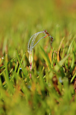 BUITEN BEELD Foto: 64411