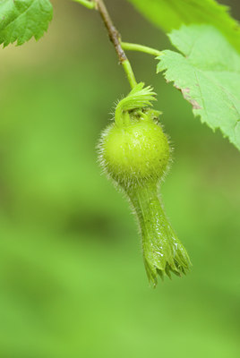 BUITEN BEELD Foto: 64437