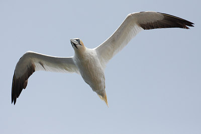 BUITEN BEELD Foto: 64459