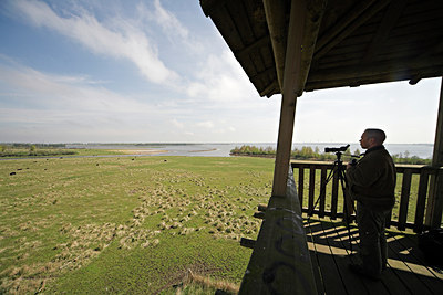 BUITEN BEELD Foto: 64461