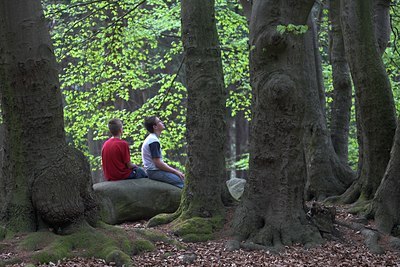 BUITEN BEELD Foto: 64464