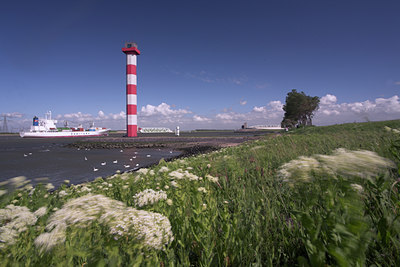 BUITEN BEELD Foto: 64488
