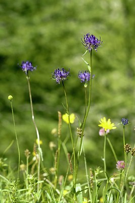BUITEN BEELD Foto: 64512