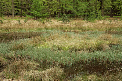 BUITEN BEELD Foto: 64533