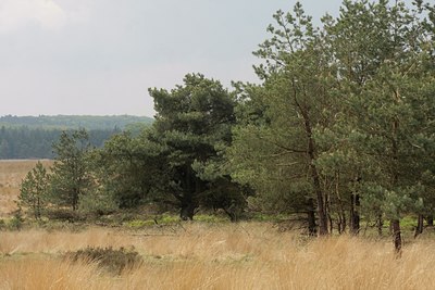 BUITEN BEELD Foto: 64542