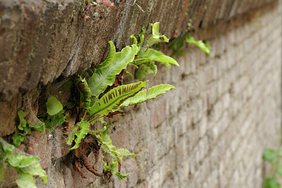BUITEN BEELD Foto: 64582