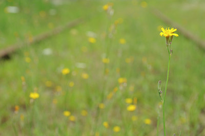 BUITEN BEELD Foto: 64598