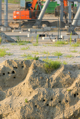 BUITEN BEELD Foto: 64623
