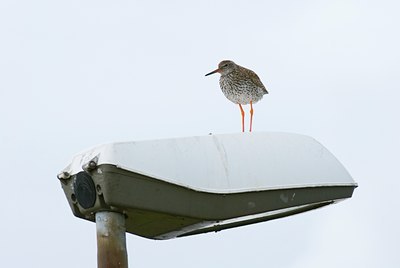 BUITEN BEELD Foto: 64632