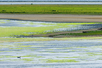 BUITEN BEELD Foto: 64633