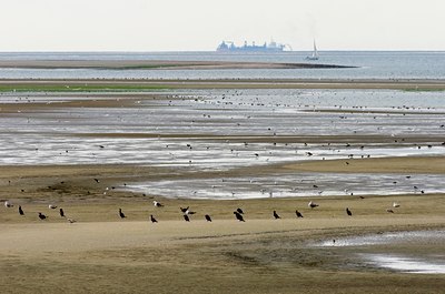 BUITEN BEELD Foto: 64634