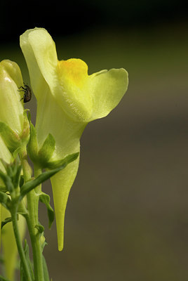 BUITEN BEELD Foto: 64640
