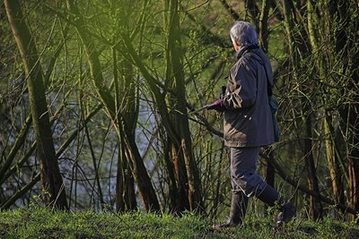 BUITEN BEELD Foto: 64653