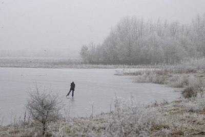 BUITEN BEELD Foto: 64659