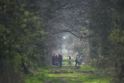 BUITEN BEELD Foto: 64685