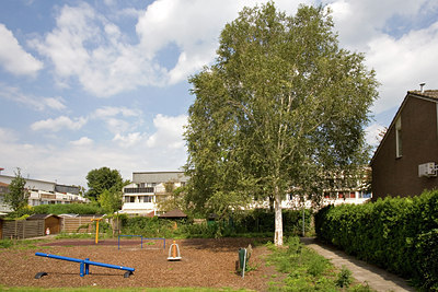 BUITEN BEELD Foto: 64706
