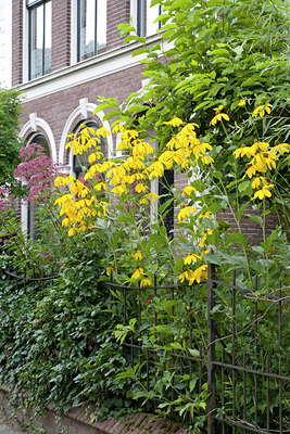 BUITEN BEELD Foto: 64710