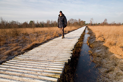 BUITEN BEELD Foto: 64779