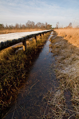 BUITEN BEELD Foto: 64780